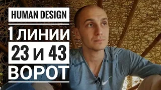 Дизайн Человека 23 и 43 ворота. 1 линии. Даниил Трофимов. Human Design