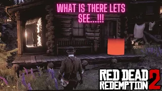 What is the girl doing in that room in strawberry RDR2