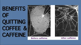 6 Benefits Of Quitting Coffee & Caffeine