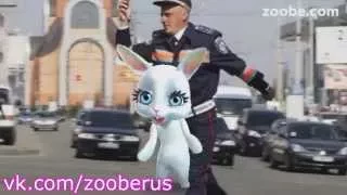 ГАИшники как дети - смешная Zoobe Зайка :)