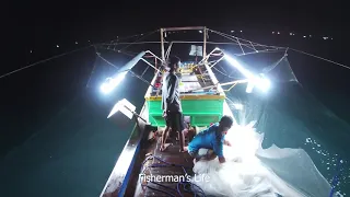 Catching squid with a nocturnal net - Fisherman’s Life