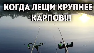 Нервным лучше не смотреть🐟🐟🐟.МОЩНЫЕ ПОКЛЕВКИ ЛЕЩА. Рыбалка на фидер.