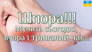 Шпора! Мучить сьогодні ,вчора і тривалий час...