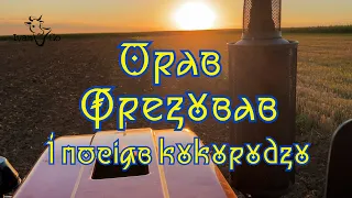 Оранка, фрезування та посів кукурудзи на корм.