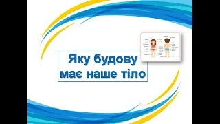 Яку будову має наше тіло. 3 клас