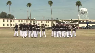Drum and Bugle Corps and the Silent Drill Platoon