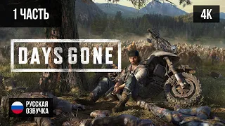 #1 ПРОХОЖДЕНИЕ DAYS GONE/ЖИЗНЬ ПОСЛЕ (2019, PS5/4K) БЕЗ КОММЕНТАРИЕВ