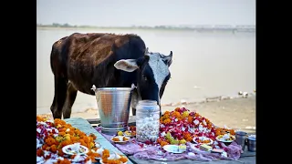 Zia Mohiuddin Dagar - Rudra Veena - Raag Malkauns/Pancham Kosh