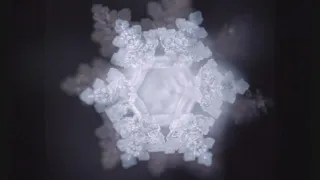 Humans Have 90% OF  NEGATIVE Water Inside of Them. Dr. Masaru Emoto's Water Experiment! *MUST WATCH*