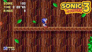 sonic 3 A.I.R android (wood zone mod) gameplay