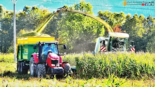 Siláže 2019 // Krone BIG X 1100 // Frýdlantská zemědělská a.s. //