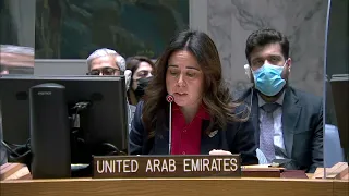 UAE's Explanation of Vote at the UN Security Council - 28 February 2022