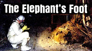 What is the Elephants Foot?