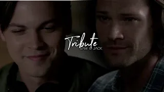 Sam & Jack • Their Story {Supernatural Tribute}