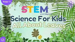 All About Leaves | Science For Kids | STEM Home Learning