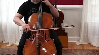 Valerio Ferron cello