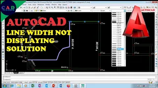 AutoCAD 2007: Line Width not Displaying on Model Space