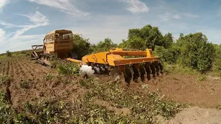 Gradeando juquira com trator de esteira komatsu d 60e