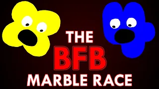 The BFB Marble Race