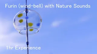 1 Hour Furin (wind-bell) with Nature Sounds