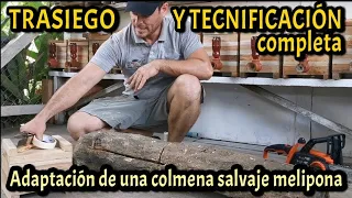 Tecnificación desde un tronco a caja INPA. Trasiego completo