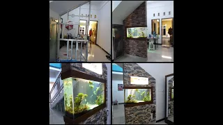 partisi aquarium (aquascape)