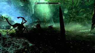 Scariest Skyrim glitch I've ever seen... dancing spiders