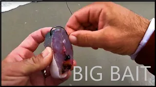 THIS is why you throw BIG BAITS into RIP CURRENTS!