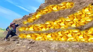 wow wow amazing day! gold miner found a lot of gold treasure under stone million years