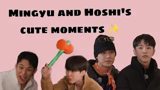 Mingyu-Hoshi cute and funny moments #mingyu #hoshi #kpopfunnymoments