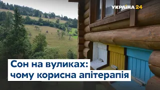 Сон на бджолах: чим корисна апітерапія