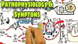 COVID-19 Pathophysiology and symptoms | SARS-COV2 | coronavirus disease