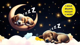 SOOTHING Baby Lullabies to Make Sleep FAST & EASY 💤🌙 1 Hour Classical Baby Sleep Music Mix ♫♫