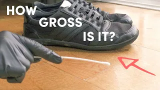 The Dirty Truth: Shoes Inside the House