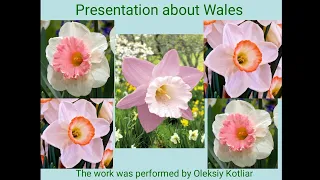 Presentation Wales. English 9 form