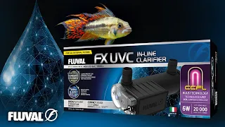 Fluval FX UVC In-Line Clarifier | See Your Aquarium In High Definition