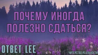 Ответ Lee о отпускании и законе притяжения