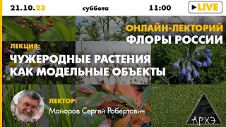 Лекция Сергея Майорова "Чужеродные растения как модельные объекты" в рамках лектория "Флоры России"