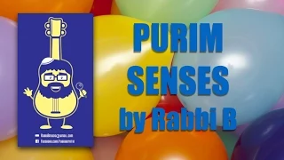 Rabbi B - Purim Senses Song