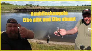 Raubfischangeln erfolgreich an und auf der Elbe an diesem Fluss kann alles passieren #Elbeangeln