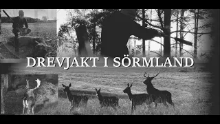 Drevjakt i Sörmland