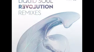 Liquid Soul - Revolution Remixes Part 02 [Full Album]