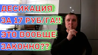 Как УСКОРИТЬ СОЗРЕВАНИЕ культуры. СЕКРЕТНЫЙ МЕТОД! Чем заменить дорогой десикант.