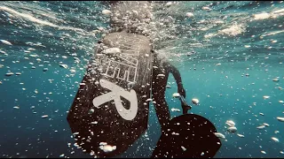 BRAVING the wind, Spearfishing The Whitsundays Great Barrier Reef!