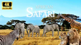 African Safari 4K - Amazing Wildlife of African Savanna | Scenic Relaxation Film (4K Video)