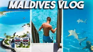 Why YOU NEED To Visit The Maldives - (OBLU EXPERIENCE)