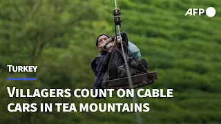 Villagers count on perilous cable cars in Turkey's tea mountains | AFP