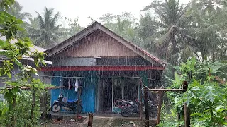 Heavy Rain Brings Rural Peace and Coolness | Rural atmosphere of West Java Indonesia