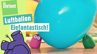 elefantastisch! -  Die Mini Boings und der Luftballon & Lied Fünf kleine Fische | Der Elefant | WDR