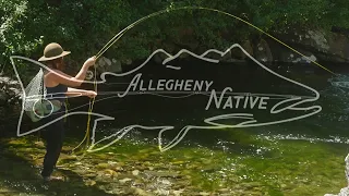 Mountain Stream Fly Fishing in Montana for Wild Rainbow Trout